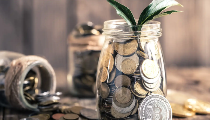 biitland.com stablecoins